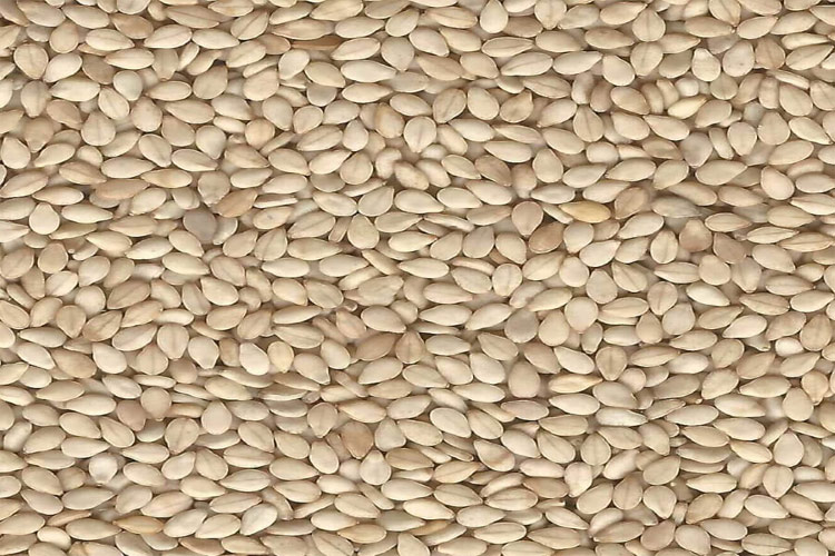 Natural Sesame