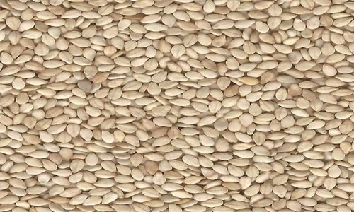natural sesame