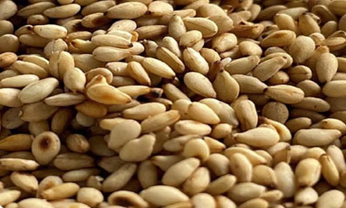 roasted sesame