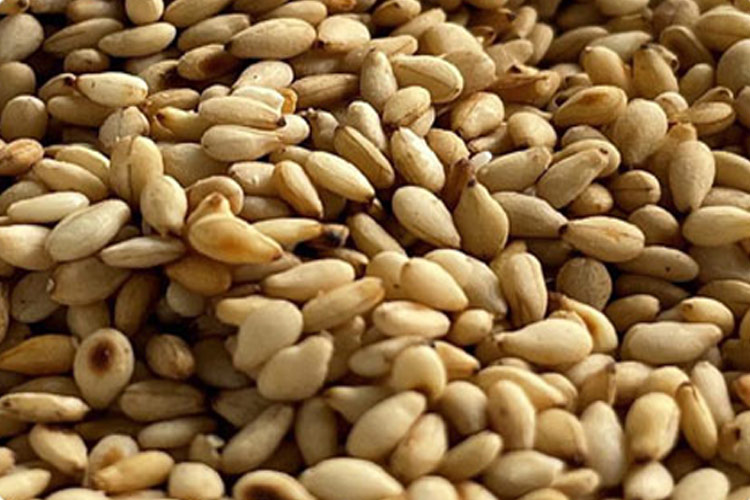 Roasted Sesame